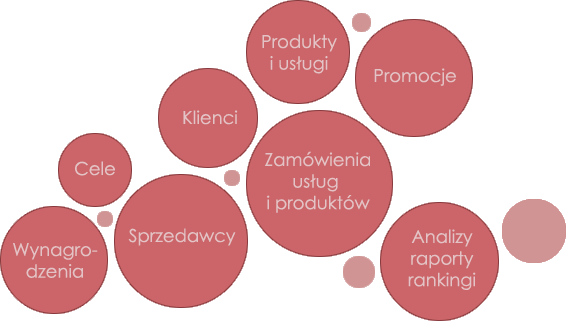 Elementy systemu sprzedazowego dla przedstawicieli